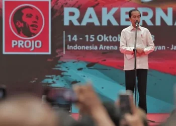 Jokowi Akan Blusukan ke NTT Bareng Projo, Terkait Pemilu 2029?