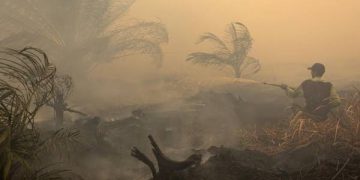 ​Cegah Krisis Air dan Karhutla akibat El Nino, Ini Imbauan BPBD Kota Tidore