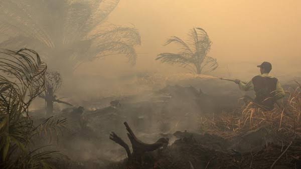 Cegah Krisis Air dan Karhutla akibat El Nino, Ini Imbauan BPBD Kota Tidore